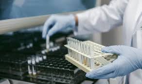 ciencia